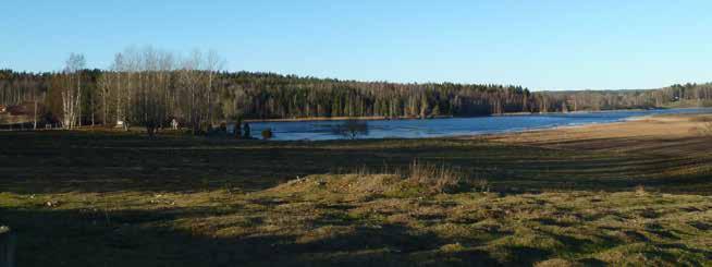 En handelsträdgård ligger i den södra delen av området. Området öster om Örebrovägen är kuperat med en västerslänt och är till stor del beväxt med gles skog.
