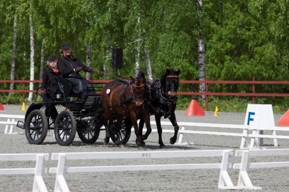 Tävling i dressyr och precision Årets tävling i dressyr och precision genomfördes den 25 maj i strålande sol. 14 ekipage kom till start.