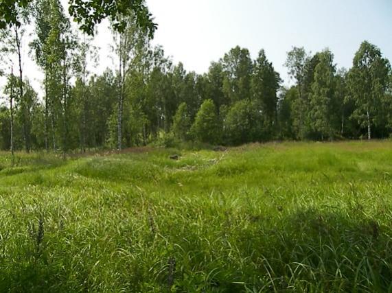 6 FÖRUTSÄTTNINGAR OCH FÖRÄNDRINGAR 6.1 Natur 6.1.1 Mark och vegetation Den västra delen av planområdet ligger lägre än skolområdet och utgörs i dag av en gräsbevuxen äng med spridda lövträd.