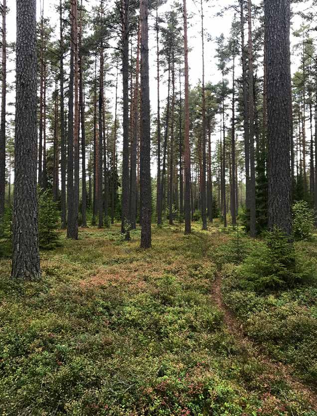 En egen lag Häradsallmänningarnas förvaltning regleras av en egen lag, Lag (1952:166) om häradsallmänningar, som bland annat reglerar vem som är delägare.