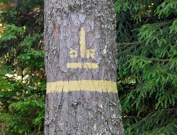 Man började då dra upp rågångar i skogen för att skilja den egna byns skogar från grannbyns.