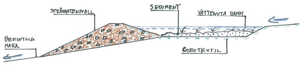 sedimentationsdammar med ett definierat utlopp. I den tillfälliga dammen kan sedimentation ske genom att dagvattenflödet tillåts stanna upp.