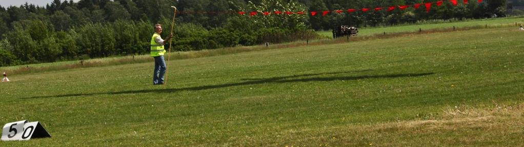Tjugofyra (24) piloter, mot fjorton (14) piloter 2016, har även deltagit i den officiella riksnavigationstävlingen genom att skicka in resultaten till motorflygförbundet.