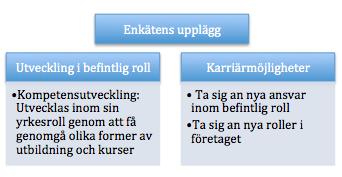 konstruktion och layout har blivit genomförd i samarbete med fallföretaget och deras programvara, som brukar använda vid olika medarbetarundersökningar, säkerställdes att enkäten fick en