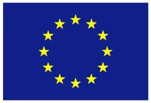 received funding from the European Union s Horizon 2020