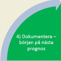 4) Dokumentera Rapportera Lägg grunden för arbetet fram tills nästa prognos Underlätta nästa prognos 4 Dokumentera Rapportering i Raindance Inrapportering i Raindance av prognosen enligt