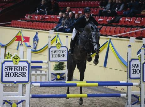 Ädel - Högställd - Flott- Försiktig - Stor Kapacitet Kannando är avlad till Internationell toppsport. Vi hoppas få en fin avelskarriär först, innan han i framtiden kanske bara inriktas på sporten.