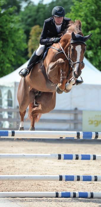 Thelma inledde 2018 med att bli 2:a i Lövsta 6-årschampionat i Gothenburg Horse Show under februari. Detta talar för sig själv vilken fantastisk stostam Utrillo representerar!