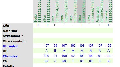 Kullsyskon med samma HD-grad och olika index Hur kommer det sig att