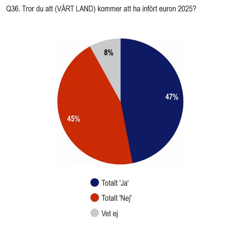 E. EUROOMRÅDET 2025 *Frågan