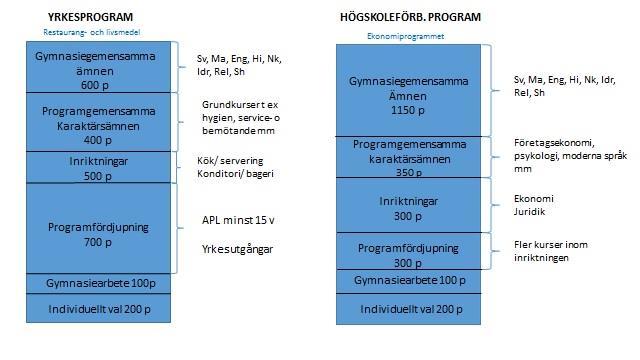 Yrkesprogram vs.