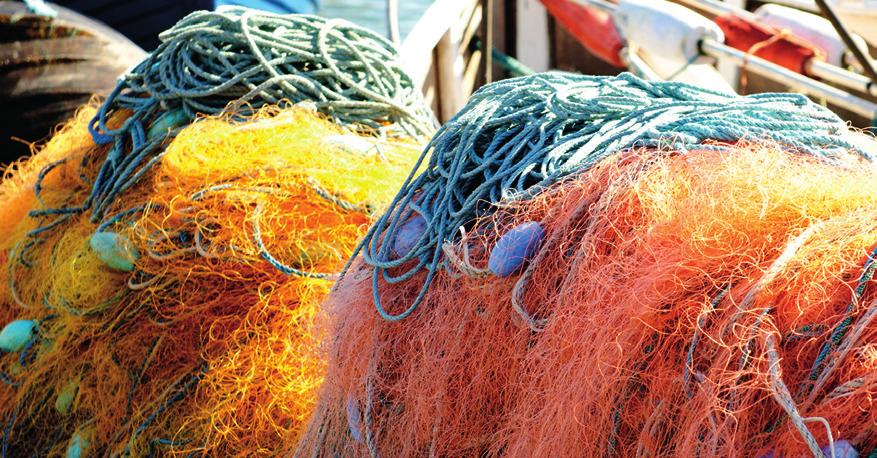 FOTO: MARIA NILSSON möte om fiskesubventioner) förväntas bidra till att identifiera de behov som kräver lokala lösningar.