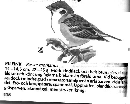 Vanliga flygplan har ju som bekant en s k stabbe, den lilla vingen längst bak.