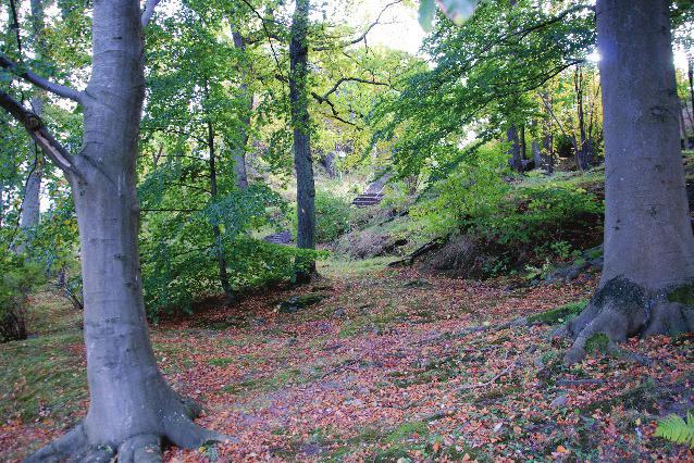 Figur 49: En del av det skogsbeklädda berget i anläggningens västra del, som troligen