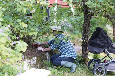 HÖSTENS ARBETSHELG 1 3 september Kvinnohöjden