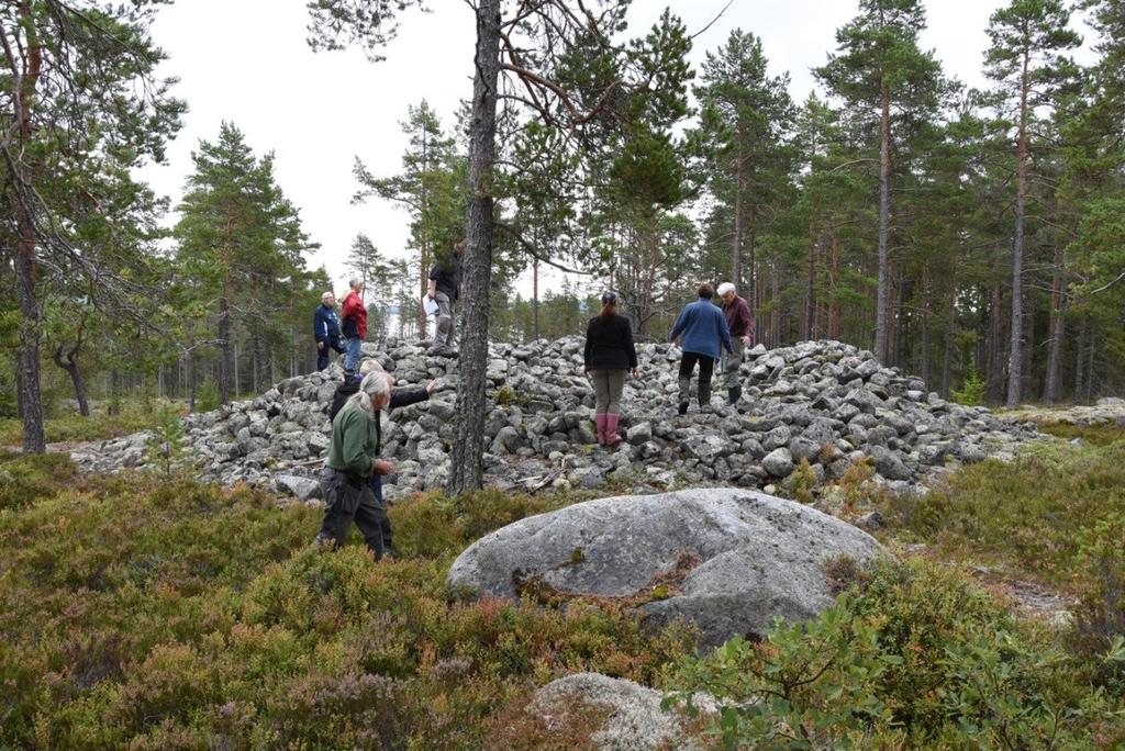 Besök vid gravrösena inom Raä 43 vid Tjärdalsbäcken.