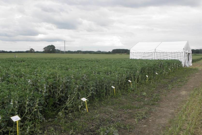 Sortförsök på Logården i Västergötland och Ängelholm i Skåne 2012 och 2013