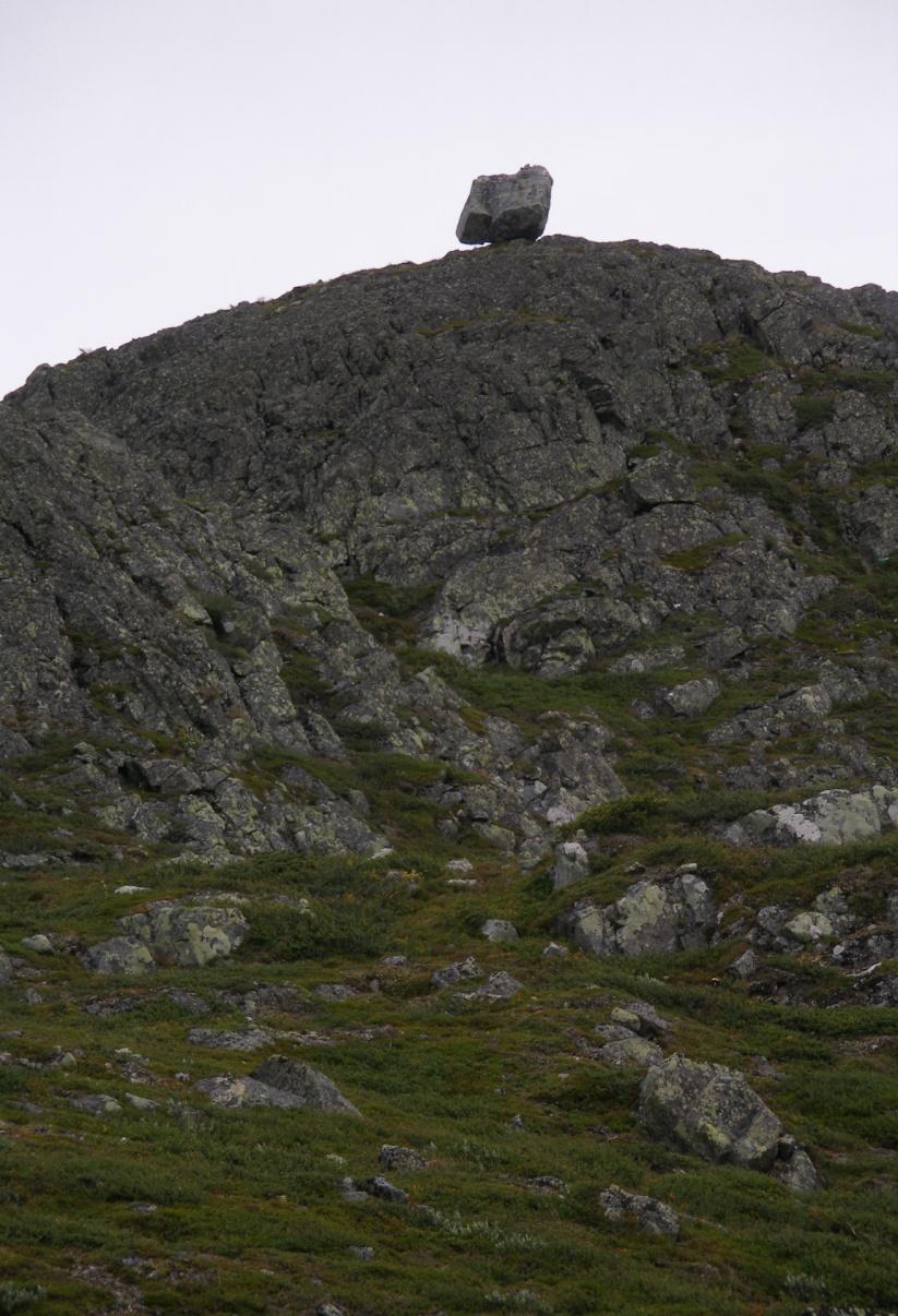 Skilj på följande begrepp Kompensation: åtgärder för att i landskapet så långt det är möjligt kompensera för de förluster av populationer, arters livsmiljöer, naturtyper eller ekologiska funktioner