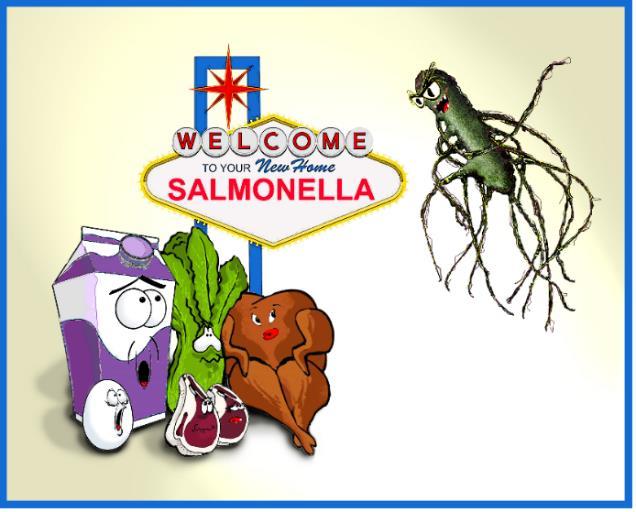 Från jord till bord Fynd av salmonella hanteras längs hela kedjan Flera myndigheter involverade Jordbruksverket - djur: övergripande ansvar för övervakning, förebyggande och bekämpning, leder