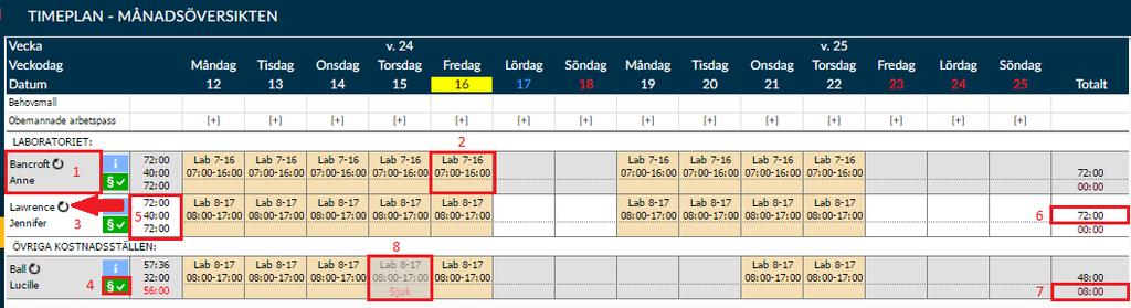 Månadsöversikten visar mycket information: 1. Den anställdes för- och efternamn. Raden som går vågrätt ut från namnet är informationen som rör den anställde. 2.