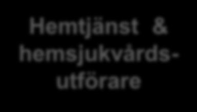 Sammanfattade lärdomar om sammanhållen vård i Örebro från workshopen den 25 september i länsdelsgrupper Gemensamma utmaningar och framgångsfaktorer Den 25 september ordnades en halvdagsworkshop där