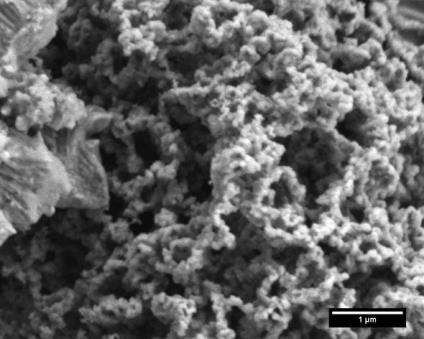 Resultat Med hjälp av SEM (Scanning Electron Microscopy) kunde konstateras att det var en tydlig skillnad mellan nano-coated och ej nano-coated kalciumoxid.