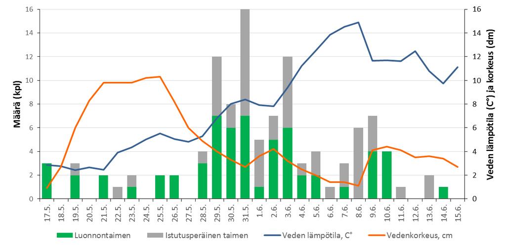 3. Resultat och behandling 3.1. Fångstresultat Sammanlagt fångades 124 öringar, av vilka 67 (54 %) var vilda och 57 (46 %) odlade.