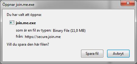 4 (13) Det kommer upp olika vyer i Explorer, Firefox