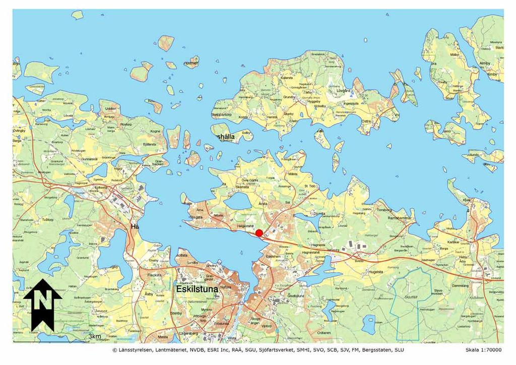 Människorna odlade ärtor, bönor och olika sädesslag under vikingatiden. Arkeologer har också hittat rester av bröd. Människorna bakade bröd av korn. Man malde kornet.