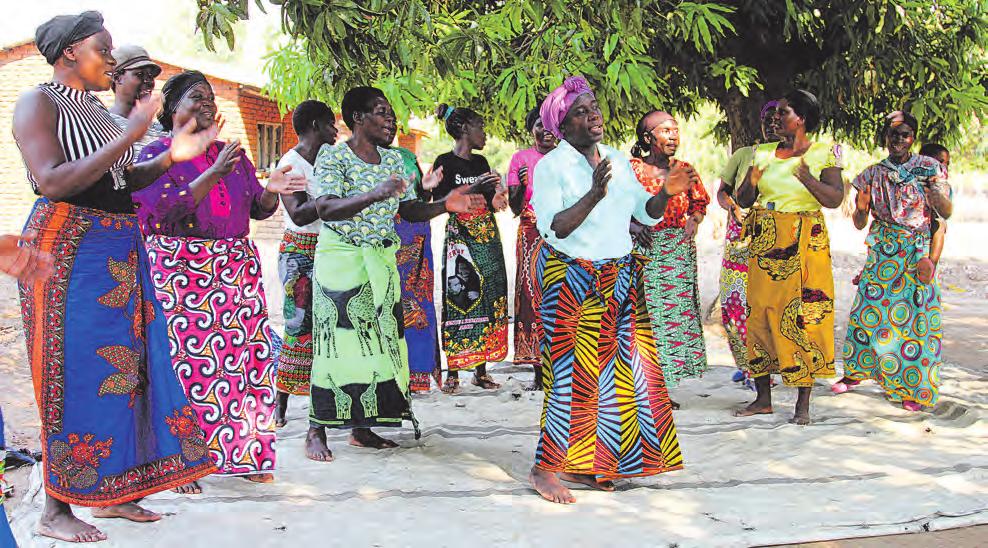 sparande och matlagning inom det stora biståndsprogrammet Malawi Lake Basin Programme.