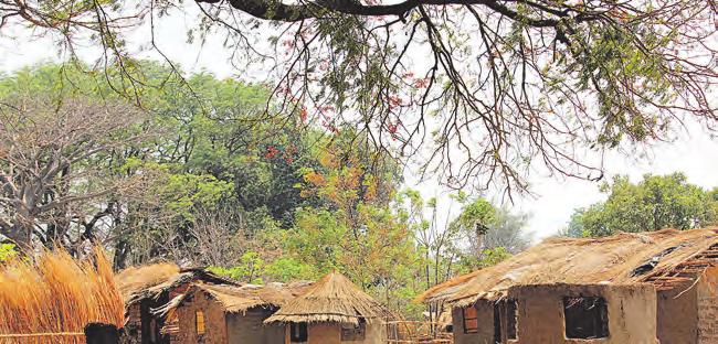 Drygt en tredjedel av invånarna är analfabeter och långt ifrån alla barn får en chans att gå i skolan. Fattigdomen är mycket utbredd och Malawi räknas till världens allra fattigaste länder.
