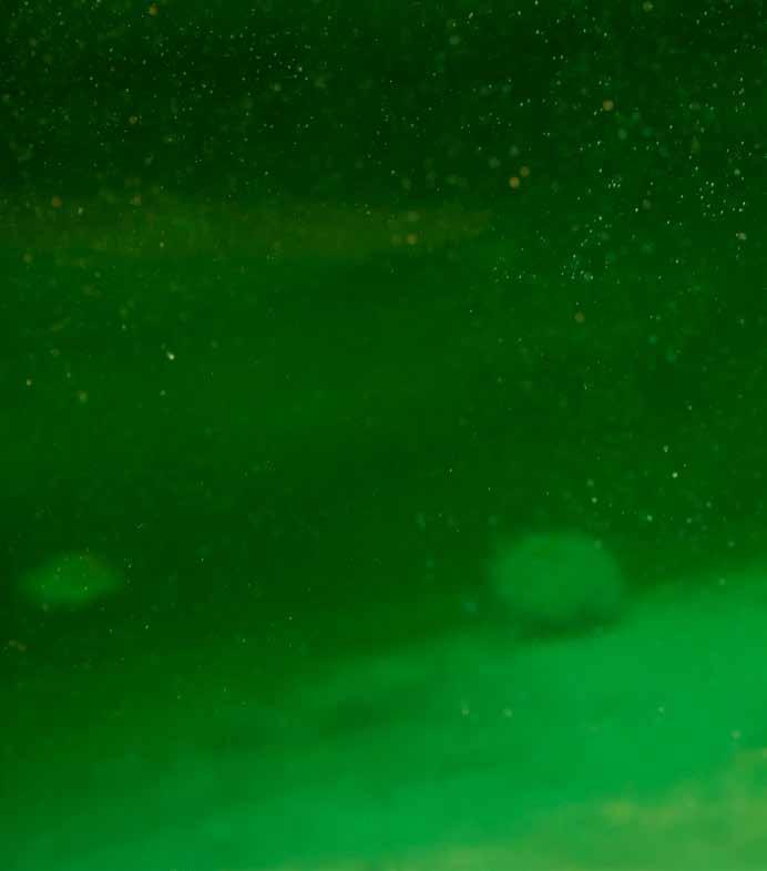 Rester från skogsindustrin kan bli FISKFODER Efterfrågan på fisk förväntas öka kraftigt de närmaste decennierna. Enda sättet att möta behovet är fiskodling.