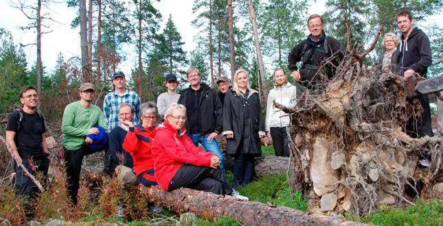 Deltagarna i projektet kommer från Sverige och Finland. De har kompletterande kompetenser inom kemi- och skogforskning.