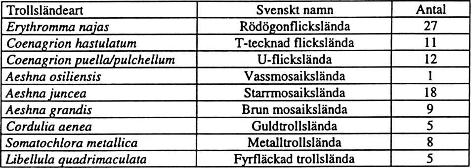 Lokal 7. Sarvsjön Ekonomiskt kartblad: 10H li Rikets koordinater: 655642 159014 Inventeringsdatum: 970528, 970606, 970616, 970721, 970806 Oligotrof rotenonbehandlad sjö i Yngerns avrinningsområde.