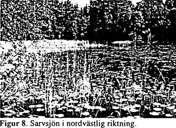 Vit näckros och gäddnate finns i riklig mängd och i sjön växer också mycket bladvass, säv, vattenklöver, dyblad och ett av länets största bestånd av ag (Sjöar och vattendrag i Södertälje 1985).