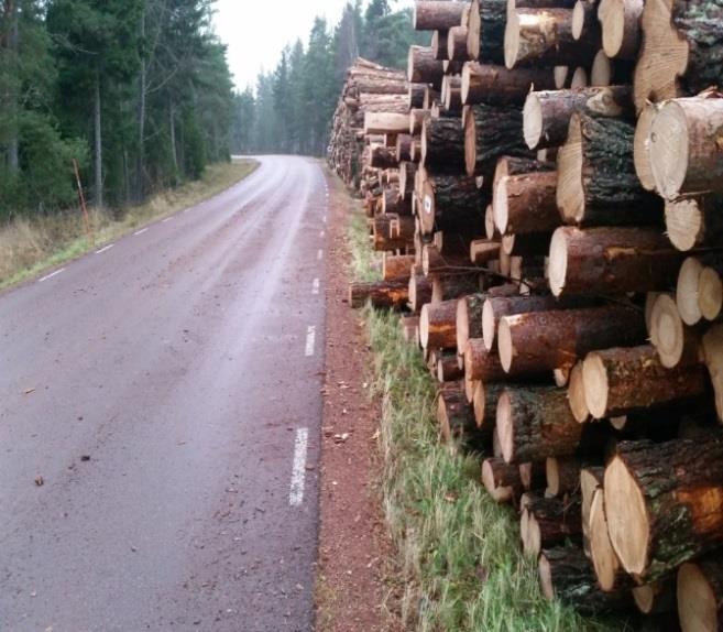 7. Exempel som utgör direkta faror Sikten är skymd.