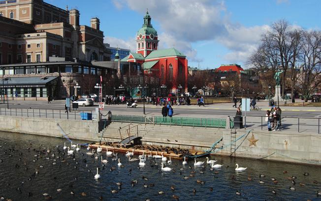 Den nya regleringen gynnar även djurlivet runt Mälarens stränder.