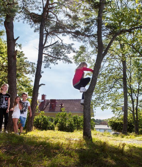 Så tänkte vi när vi gjorde områdesindelningen Likvärdighet och Skolutredningens förstärkningsområden Stadsdelarnas organisation Samspel utbildningskedja Antal