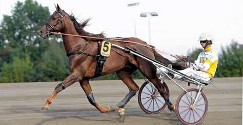 7 The Bucket List F. 8 Speedy Face Hela Burmans fyraåring har liksom smugit sig fram till d asota kulltopp och var med redan som tvååring. Tidigt utvecklad och han vann då tre lopp på åtta starter.