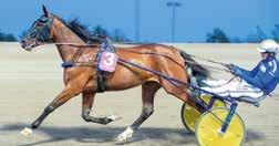 Soc Agr, Itali Ägare: Bruni acing Team AB, Bjärred Tränare: Jerry iordan, Halmstad Skötare: Heli Tarrimaa