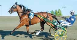 Tränare: Peter Untersteiner, Halmstad Skötare: Emma Svsson Körsv: Johan Untersteiner, Halmstad 6 P EUOPHILE AM