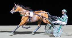 Stockholm Tränare: Peter Untersteiner, Halmstad Skötare: Jonna Jinesjö Körsv: Jorma Kontio, Solvalla GLOBAL