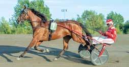 s aviar - Platinium Shine / Viking Kronos Uppfödare: Gloal Farm AB, Nacka Strand Ägare: AB YBENA, Aney Tränare: