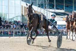 SVENSKT TAVDEBY GENOM TIDENA År Bana Segrare Kön Stam V-tid Distans Odds Uppfödare Ägare Körsv Tränare Förstapris 00 Jägersro Hilda Zonett sto Spotlite Loell - Via de Vrie.