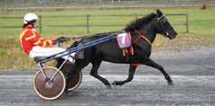 PONNYLOPP BLÅ start. OBS! INGET SPEL I DETTA LOPP SVENSKT PONNYTAVDEBY 08 - KAT B Kategori B -åriga svskfödda, körda av - eller D-licsinnehavare. 0 m. Autostart. Prispoäng:.000-.00-.70-.0-.000-(80) kr.