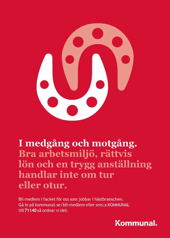 Kusk för dag Uppl fart och kraft akom 00 kg riktig travhäst på tävlingsanan.