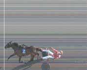 7:- Top 7 (9) 8---0---9. 7 rätt: ollerpot 6 rätt: ing. rätt: 88 :- rätt: 0:- rätt: 87:- rätt: 69:- DD (0-) ätt komination: 8-0. Odds: 6,6. V (0-) ätt rad: 8-0-. andelar ger 6:- Lopp.