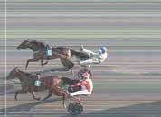 längder. Odds:,. Plats:,0-,9-,. Trio: (-9-7),67. Tvilling: (/9) 6,6. Lopp. Uttagningslopp Derystoet 08 Mörk anmälan. -åriga svskfödda ston som kvarstår efter fjärde insats. 0 m. Autostart. Pris: 00.