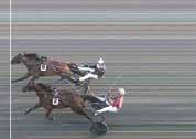 Hermes Boko*,9 () Goop B Opl. Jolie oer, (97). Ensemle Am,g (67). Sincerely Face,9 (7). Princess S.W. 7,0g (6). Bellatrix Zet 7,g (69) Segr. s år e. Symphonic Hanover-Give Me Your Love. Äg.