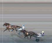 Dream Night Palema, (6) Andersson M J. Born Unicorn, (66) Lnartsson P. Silt Hill, () Untersteiner P 6. Västero Pokerface,6 (6) Kontio J 7. Mr Deauville,7 (8) Djuse M Opl. Evazan Am,8 (9).